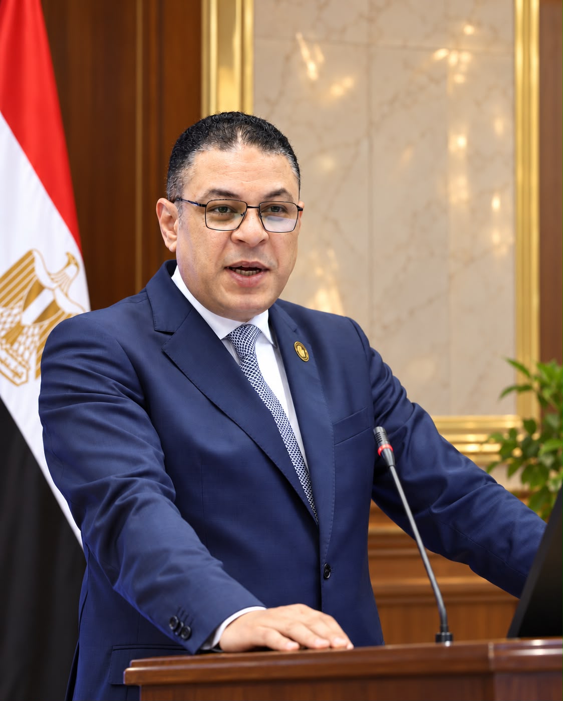 Prof. Hisham Abdel Nasser