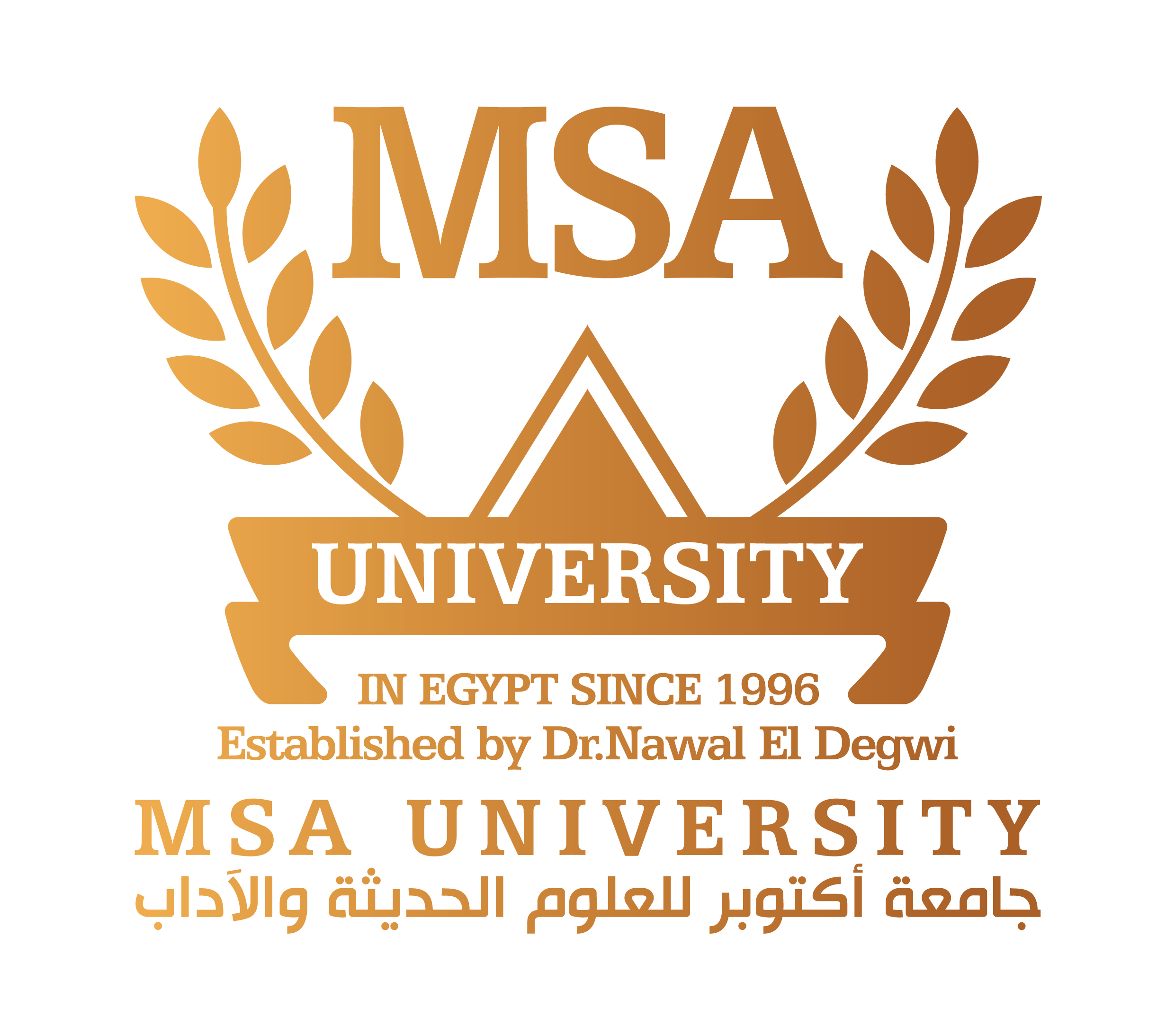MSA University